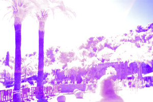 IR Trees - Barcelona